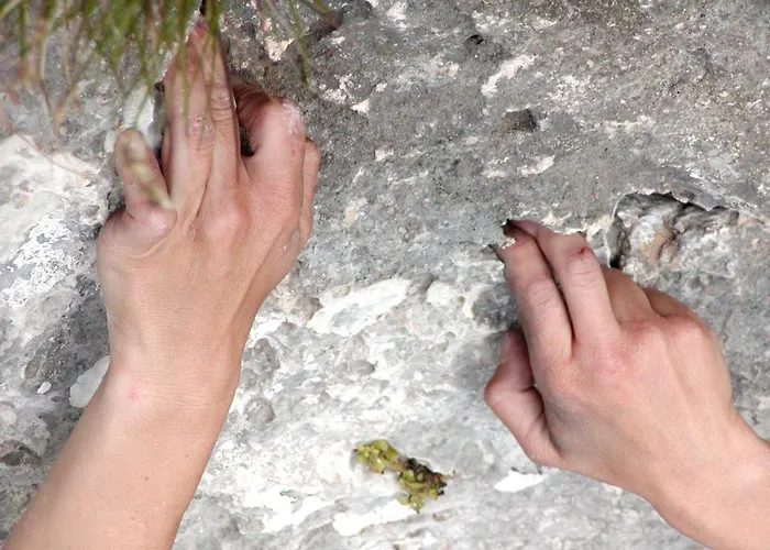 Panormitis Pizanias شقة