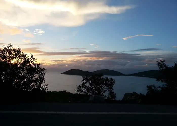 Panormitis Pizanias *